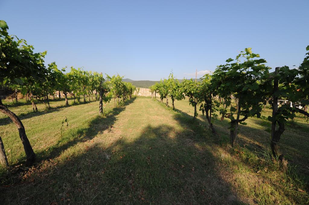 Agriturismo Scorgiano מראה חיצוני תמונה